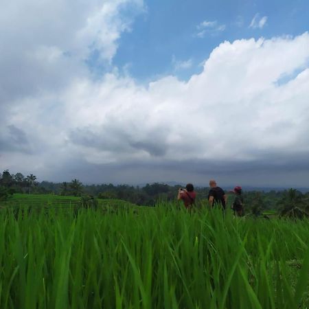 Tegal Jero Homestay جاتيلويه المظهر الخارجي الصورة
