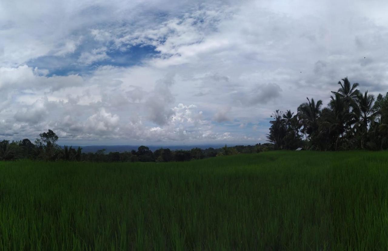 Tegal Jero Homestay جاتيلويه المظهر الخارجي الصورة