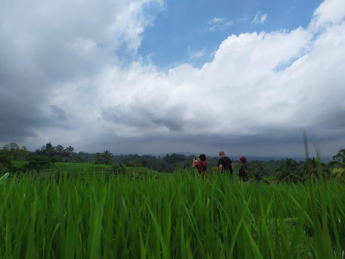 Tegal Jero Homestay جاتيلويه المظهر الخارجي الصورة