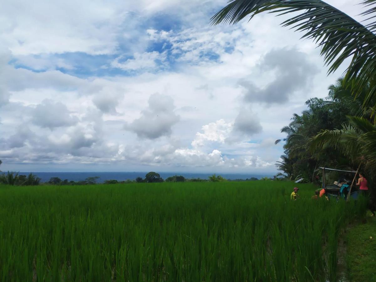 Tegal Jero Homestay جاتيلويه المظهر الخارجي الصورة