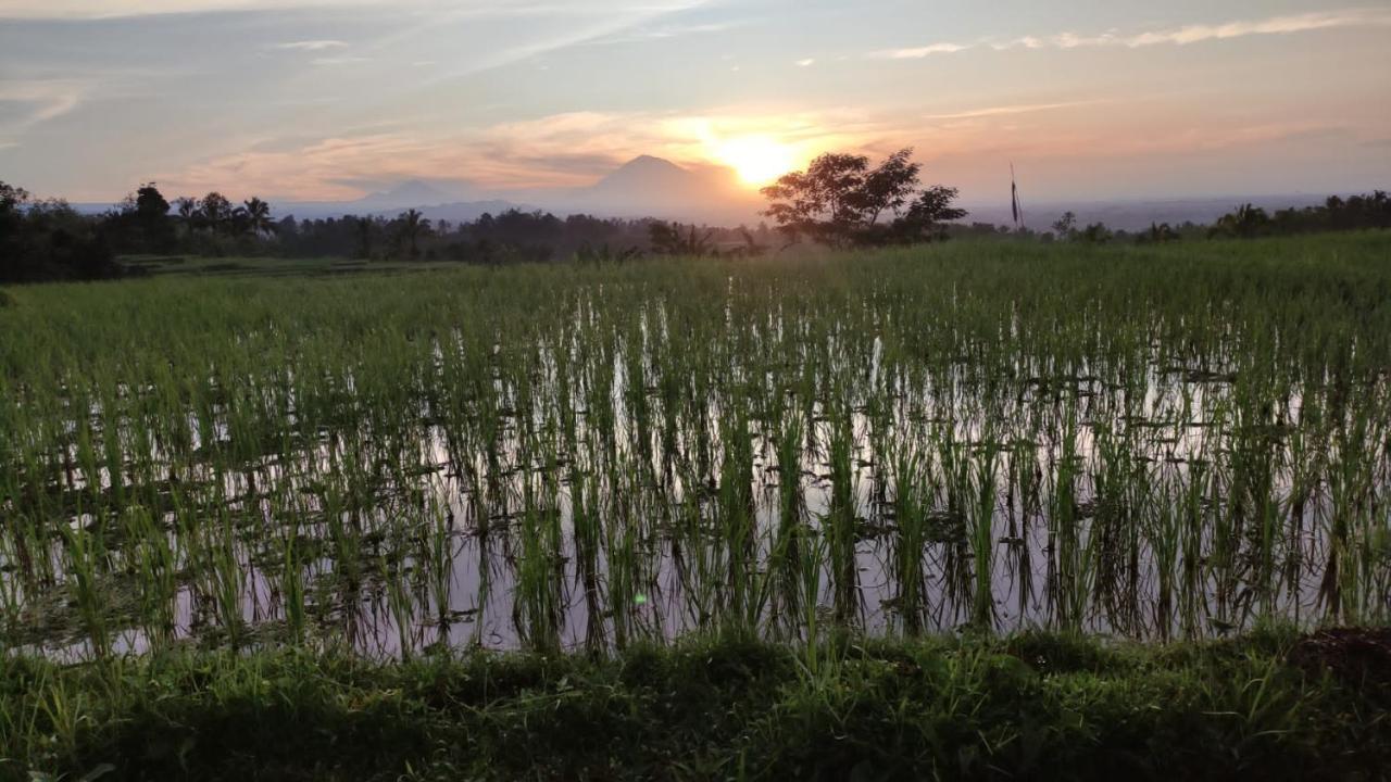Tegal Jero Homestay جاتيلويه المظهر الخارجي الصورة