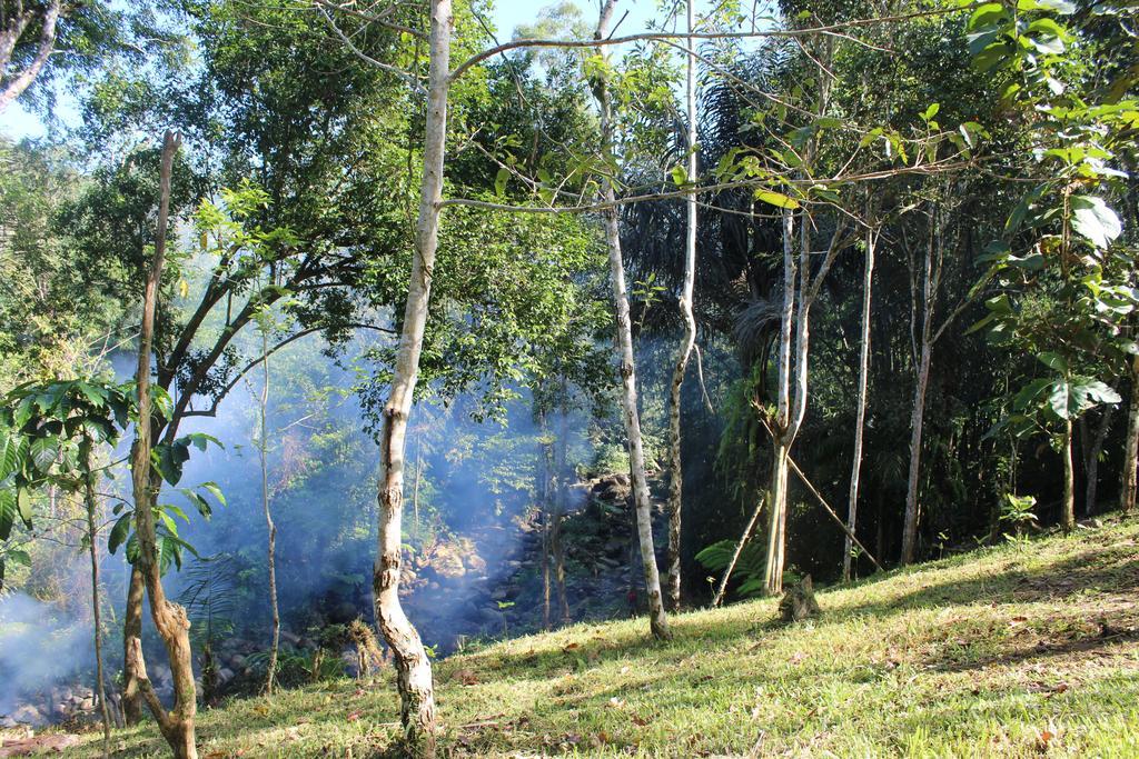 Tegal Jero Homestay جاتيلويه المظهر الخارجي الصورة