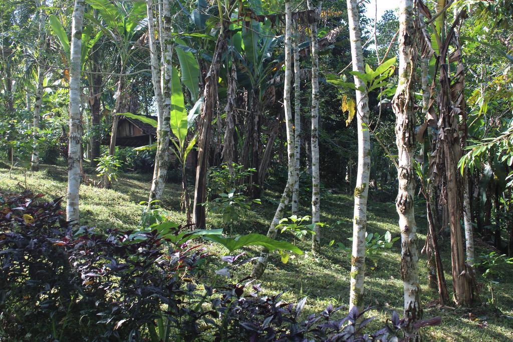 Tegal Jero Homestay جاتيلويه المظهر الخارجي الصورة