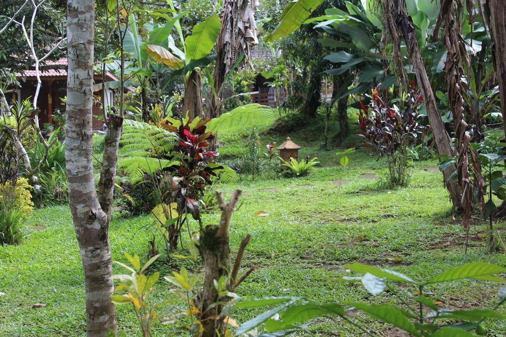 Tegal Jero Homestay جاتيلويه المظهر الخارجي الصورة