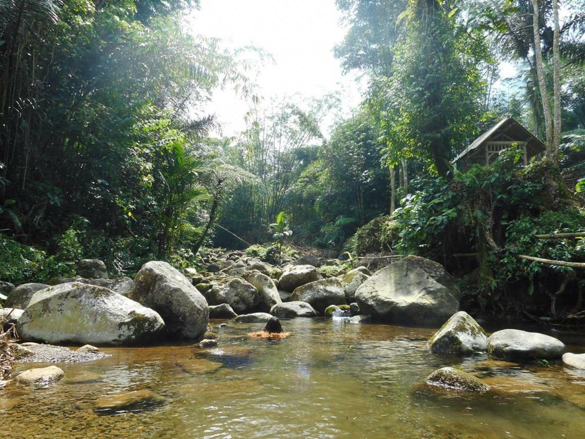 Tegal Jero Homestay جاتيلويه المظهر الخارجي الصورة