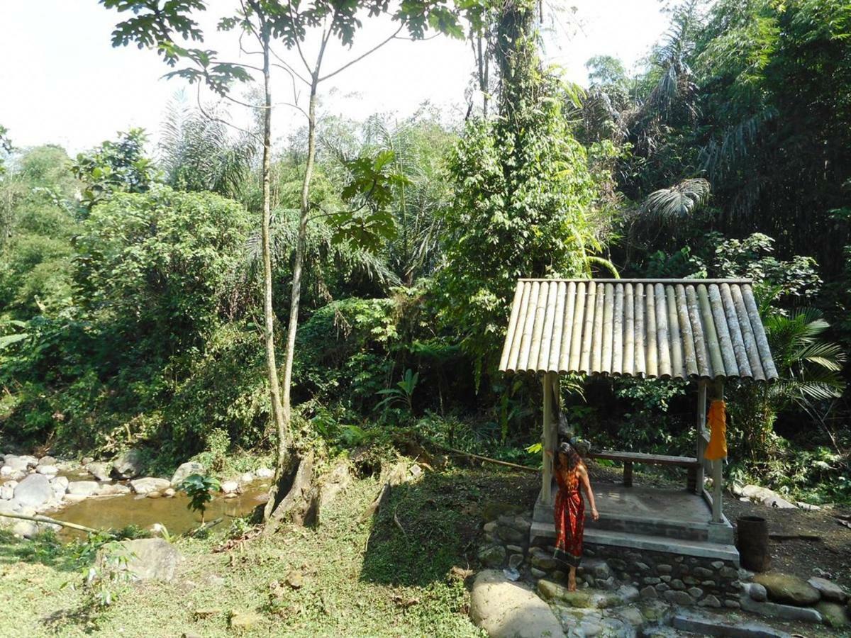 Tegal Jero Homestay جاتيلويه المظهر الخارجي الصورة