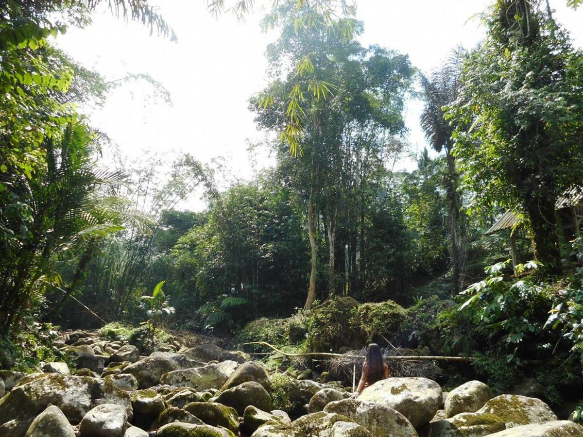 Tegal Jero Homestay جاتيلويه المظهر الخارجي الصورة
